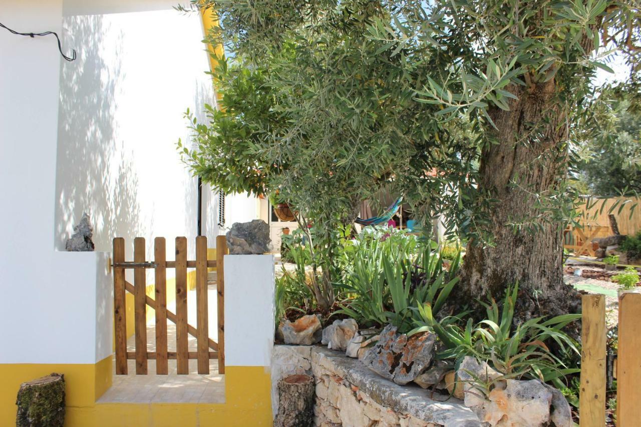 Turismo Rural Casa Da Ceu Amiais de Cima Exterior photo